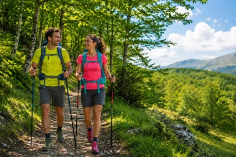 Through the Forests of Pian di Novello