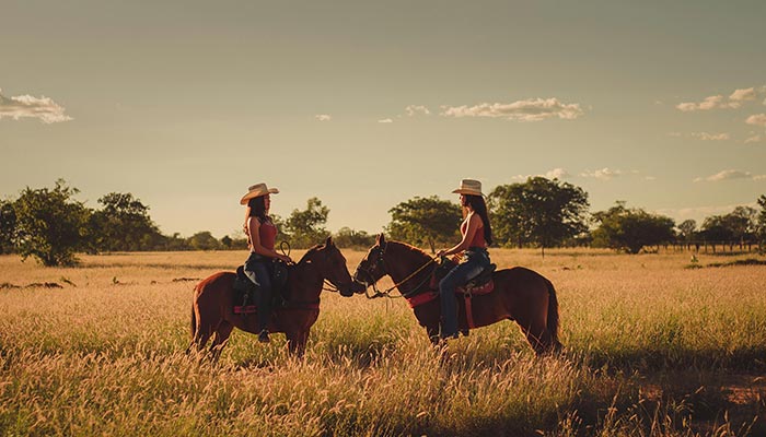 Horse Riding